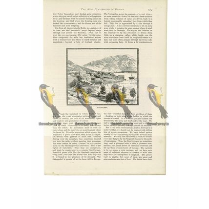 Balhomen, Norway, Book Illustration (Print), 1888