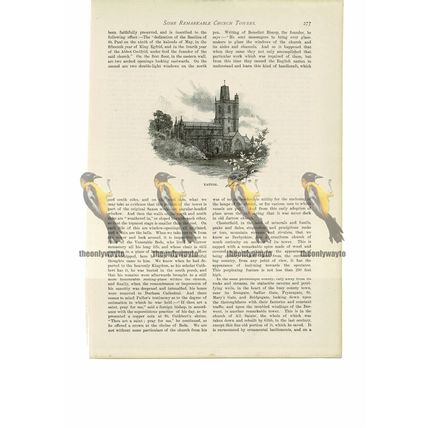 Yatton Church Tower, Somerset, Book Illustration (Print), 1888