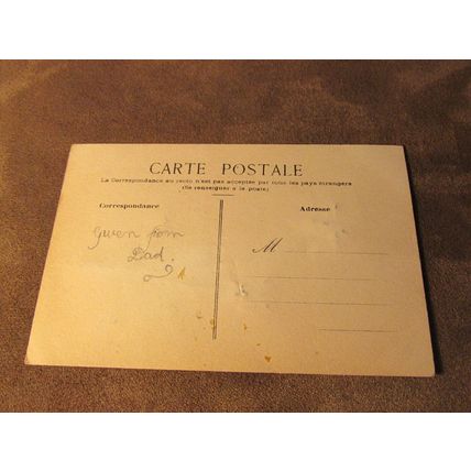 Early French Postcard - Dried Flowers - Edelweiss