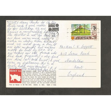 Postcard Jersey John Hinde 2J1 A Milkmaid with a Jersey Cow
