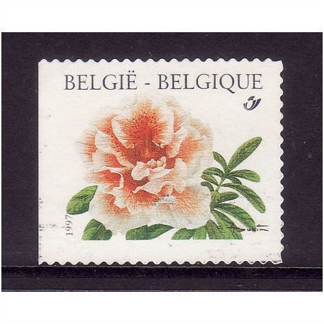 BELGIUM 1997 SG 3411 AZALEA FLOWER FINE USED