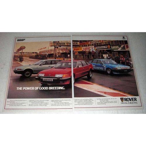 1984 Rover Vitesse and 200 Cars Ad - Good Breeding