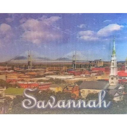 Savannah Georgia with Bridge 3D Fridge Magnet