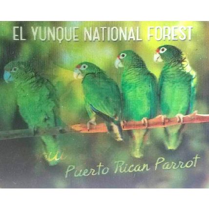 El Yunque National Forest 3D Fridge Magnet
