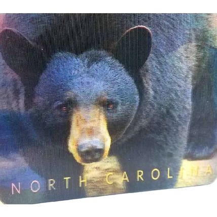 North Carolina with Black Bear 3D Fridge Magnet