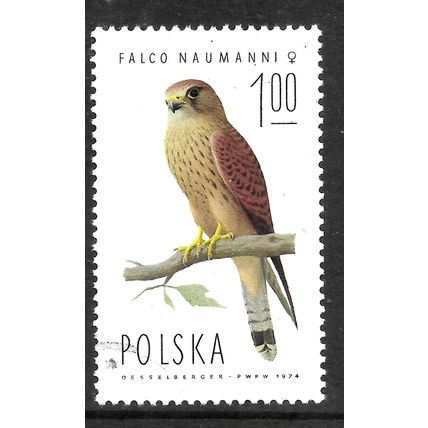 POLAND 1975 1z LESSER KESTREL FEMALE SG 2342 FINE USED #5
