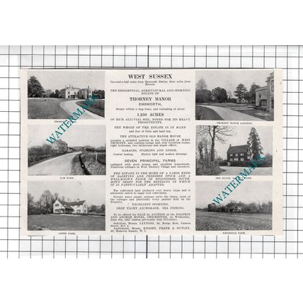 Thorney Manor Emsworth Sussex - 1927 House Sale Advert