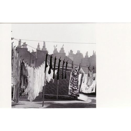 Postcard Laundry & Chimneys Wash Day Islington Camden London c1963 John Gay