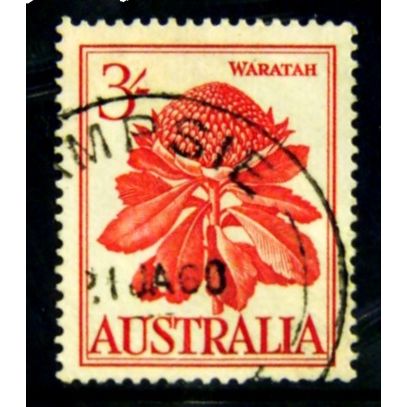 AUSTRALIA 1959 SG 326 3s WARATAH FINE USED #2