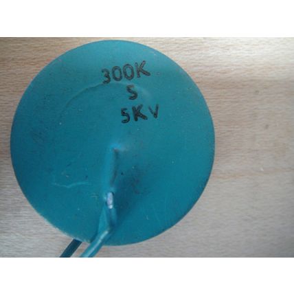 NOS 2 X 300K pF Capacitors 5KV