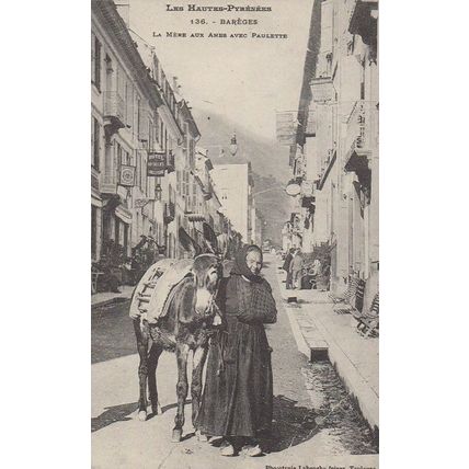 Pyrenees Barages French Donkey Mule Poverty Paulette Rare Repro France Postcard
