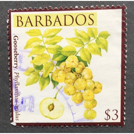 Barbados 2011 Local fruits. SG 1372. $3 Gooseberry