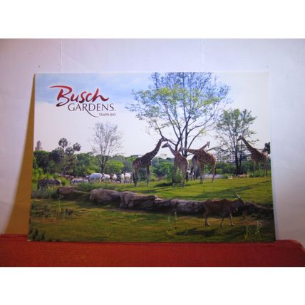 THE WILDLIFE, BUSCH GARDENS, TAMPA BAY, FLORIDA, US unused postcard =