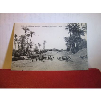 UNE PALMERAIE DANS OASIS, MOROCCO, MAROC unused antique postcard =
