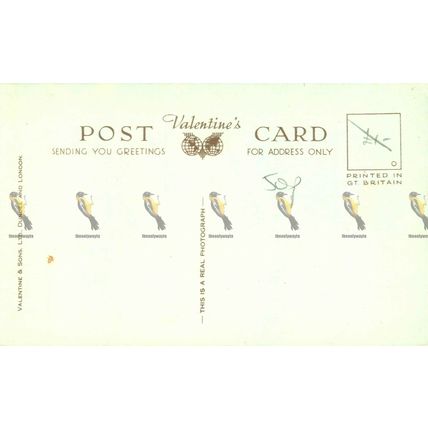 N Wales, 9 Image Multiview, Valentines RP Postcard, 1950s?