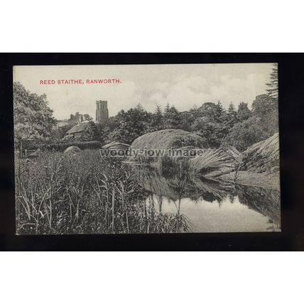 TQ3279 - Norfolk - Reeds being harvested on Staithe, Ranworth Village - postcard