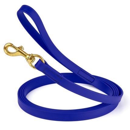 Dog Pet Leash Blueberry Royal w/ Brass Hardware W 3/4" - L33'