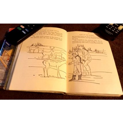 The Bobbsey Twins At Snow Lodge 1960 By Laura Lee Hope Great Shape