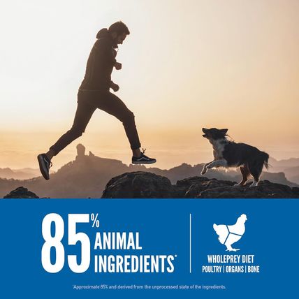 ORIJEN Original Dry Dog Food, Grain Free Dog Food for All Life Stages, Fresh or
