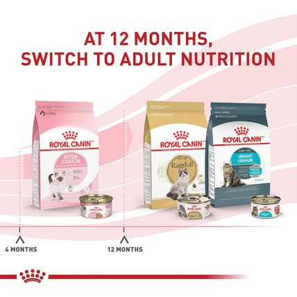 Royal Canin Feline Health Nutrition Kitten Thin Slices in Gravy Canned Cat Food,