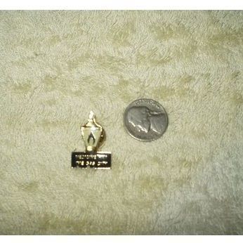 City of Medicine Hat, Alberta, Canada Lapel Pin - The Gas City