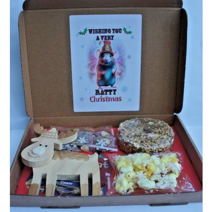 RATTY CHRISTMAS RAT GIFT BOX FILLED WITH REINDEER WOOD GNAW & TASTY RAT TREATS