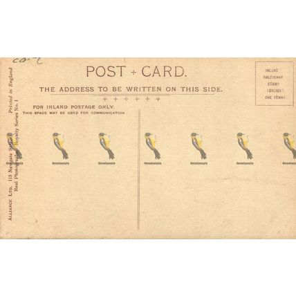 Queen Alexandra, 192 RP Alliance Royalty No 1 Postcard