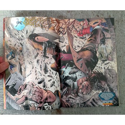 Superman : Nightwing and Flamebird (volume 1) : DC Graphic Novel : Ex Library