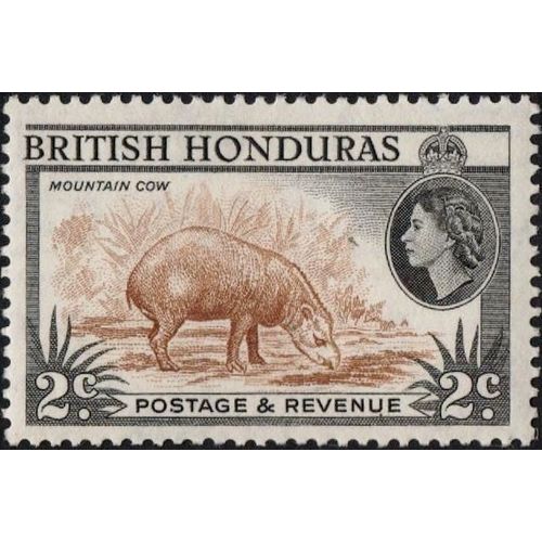 British Honduras 1953 2c Brown Black Unmounted Mint MNH SG180 stamp Bairds Tapir