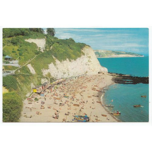 Beer from Beer Head Devon Postcard 1255