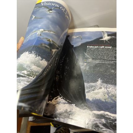 National Geographic Magazine February 2005 Nazi Ghost Ship Collectible