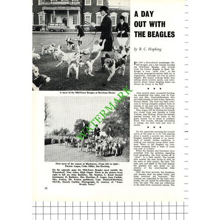Mid-Essex Beagles Bill Knight Hornchurch Essex Dunford-Hawkins - 1968 Article