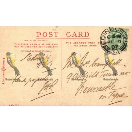John Knox House, Edinburgh, Caledonia Series Postcard, 1907