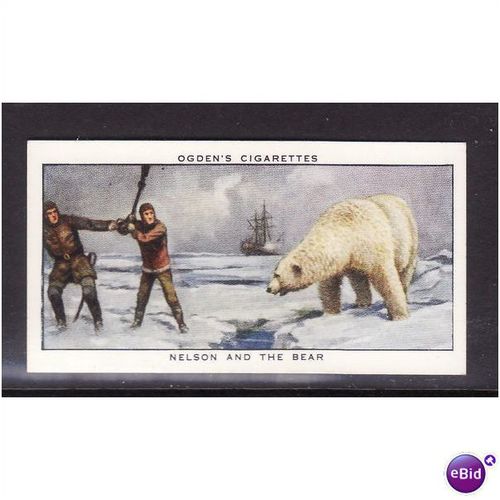 Ogden's Cards 1939 Sea Adventure No 12 Nelson and the Bear Fine Mint