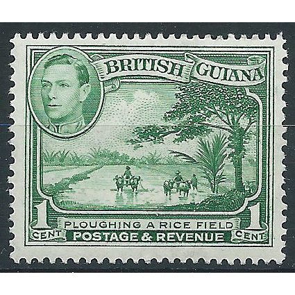 British Guiana 1938 SG308 1c Yellow-Green Mounted Mint .. ..