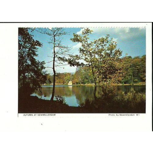 Yorkshire NEWMILLERDAM Autumn Postcard by Women's Institute
