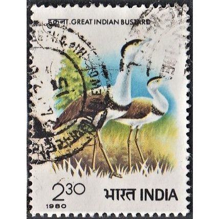 India, 1980 2R30p Great Bustards, SG 986 (Scott #879), used