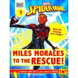 Marvel Spider Man Miles Morales To The R