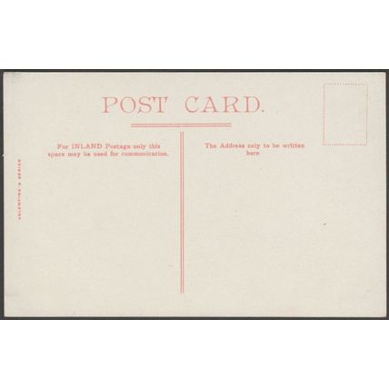 In Whiteley Woods, Sheffield, Yorkshire, c.1905 - Valentine's Postcard
