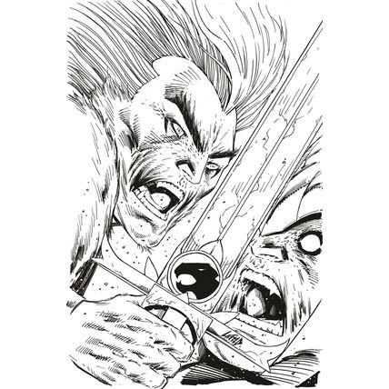 Thundercats: #2 Rob Liefeld - B&W Virgin (1:11) Dynamite Entertainment