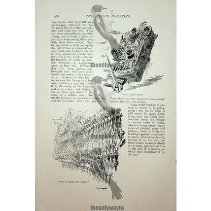 In Leadenhall Market, London, 8 Page Book Article, 1893