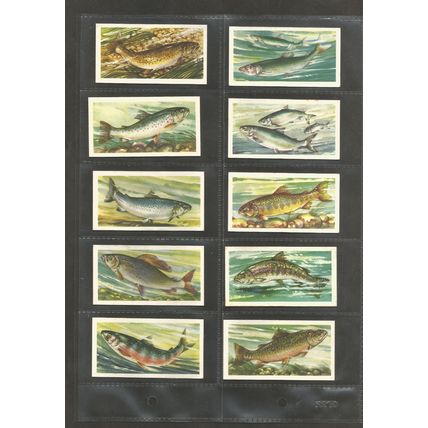 Brooke Bond Original Vintage Full Set of 50 Tea Cards Freshwater Fish 1961