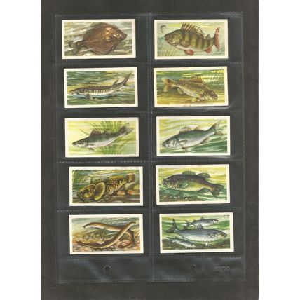 Brooke Bond Original Vintage Full Set of 50 Tea Cards Freshwater Fish 1961