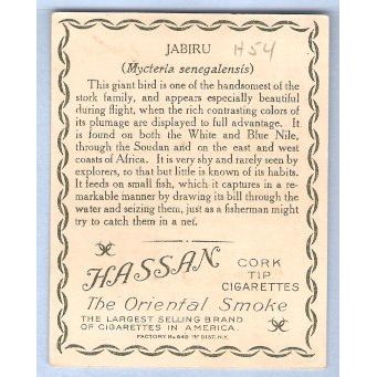 Tobacco Card ~ Company: American Tobacco Company Brand: Hassan Cork Tip Ci~54