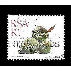 SOUTH AFRICA 1988 SUCCULENTS 1R TRICHOCAULON CACTIFORME SG 667 FINE USED#