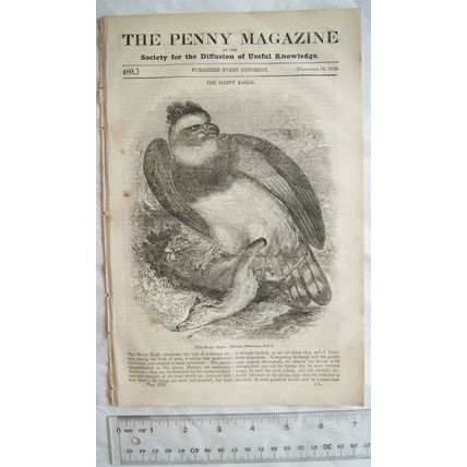 1839 The Penny Magazine No. 489 Winchester, Russia, Harpy Eagle, goose