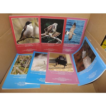 DEVON BIRDS JOURNALS 2014 - 2017 (PB, VGC, 7 editions)