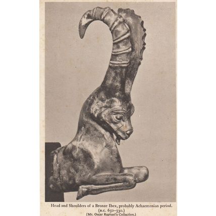 Head & Shoulders Of Bronze Head Ibex Achaemenian Sculpture Old Postcard