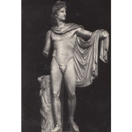 L'Apollo Del Belvedere Citta Del Vaticano Statue Italy Postcard
