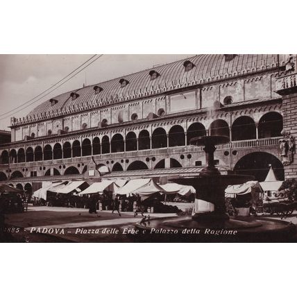 Piazza Delle Erbe Padova Italy Real Photo Postcard